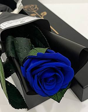 青い薔薇
